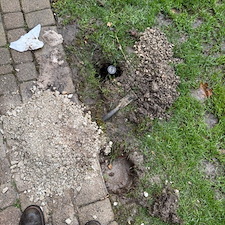 Irrigation-Sprinkler-Repair-in-Hinsdale-IL 0